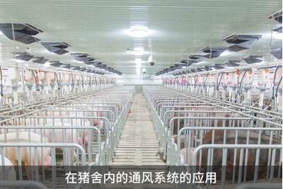 怎样提高鸡舍鸭舍猪舍养殖场的环境通风效果？