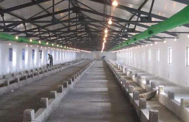 1574322424105109.jpg 猪舍.jpg