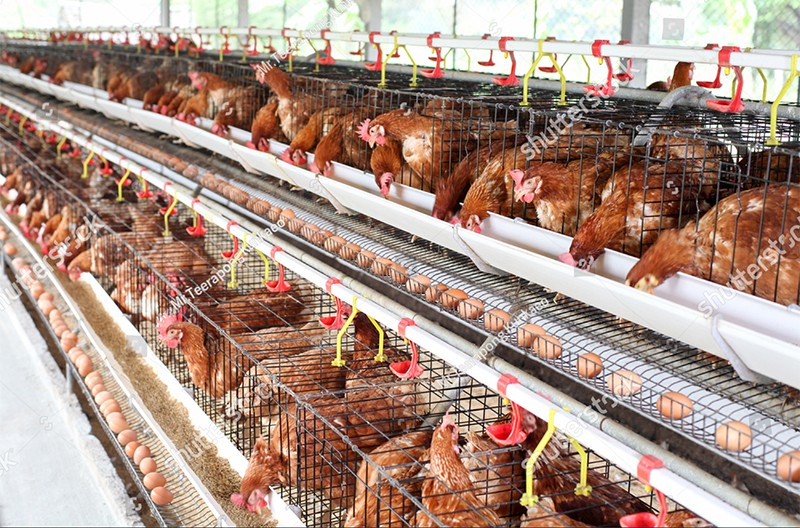 1596275164612721.jpg stock-photo-632478176.jpg