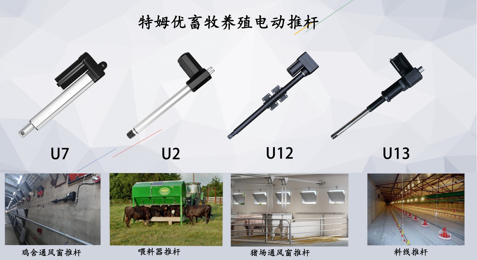 1597494579318480.jpg 1597494579318480.jpg