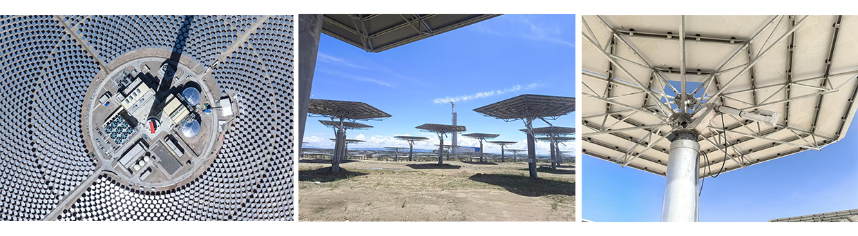 1773134787280333.jpg 88.jpg