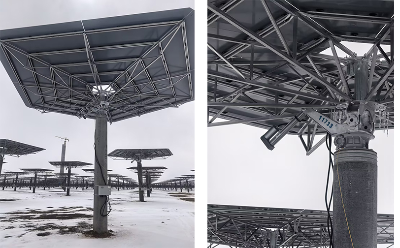 1774592024537695.jpg 55555555.jpg